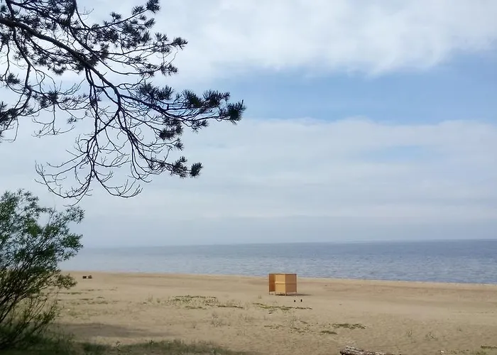 Koidula Narva-Jõesuu